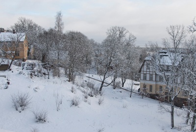 fotonegatiiv, Viljandi, Pikk tänav Rosenbergi maja ümbrusega rephoto
