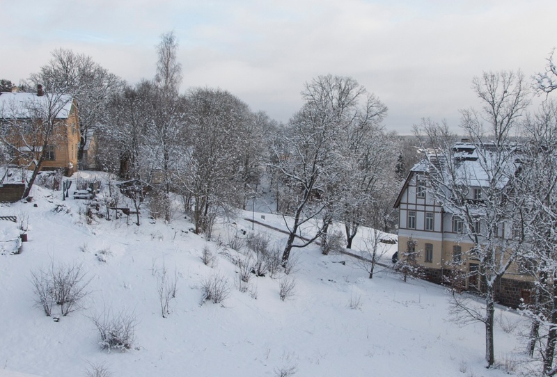 fotonegatiiv, Viljandi, Pikk tänav Rosenbergi maja ümbrusega rephoto