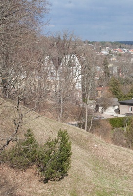 fotonegatiiv, Viljandi, A. Rosenbergi maja ümbrusega rephoto
