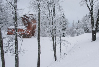 fotonegatiiv, Viljandi, Lossimäed, Kaevumäe ja Kirsimäe vaheline org (talvel) rephoto