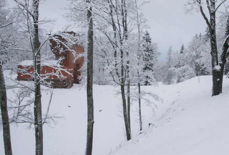 fotonegatiiv, Viljandi, Lossimäed, Kaevumäe ja Kirsimäe vaheline org (talvel) rephoto