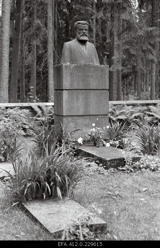 Writer C. R. Jakobson's tomb monument on Kurgjal.