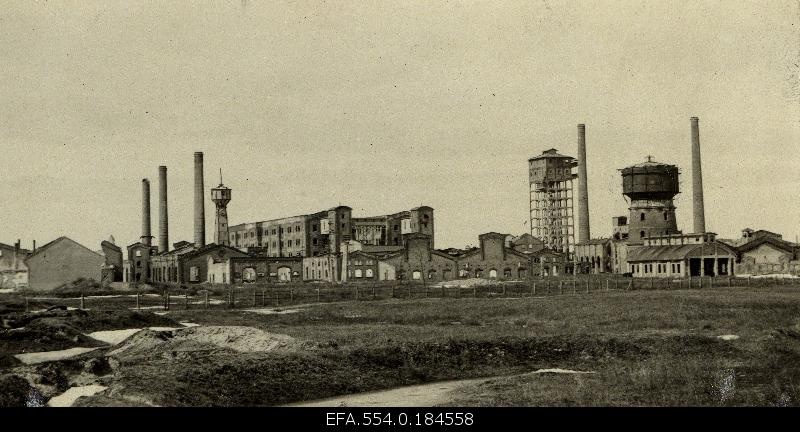 Ruins of the Waldhof cellulose factory.