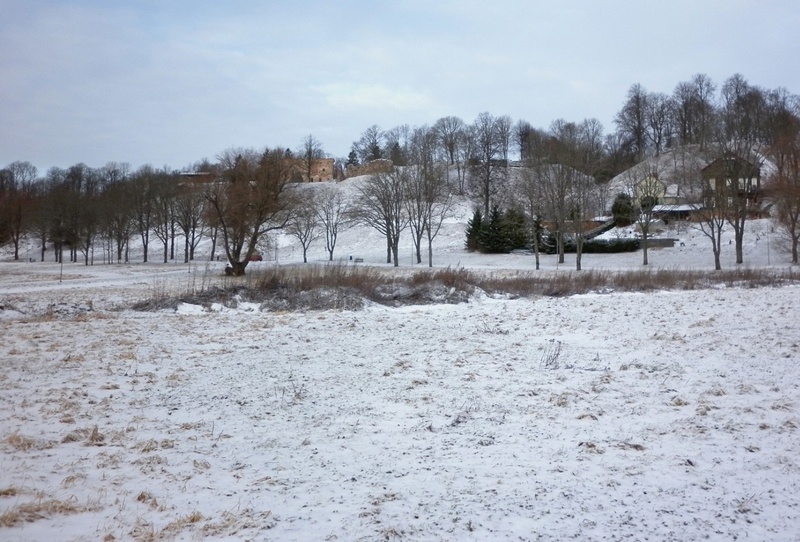 fotonegatiiv, Vaade Viljandi järve poolt lossimägedele, elumajadele (I Kirsimäe kõrval) talvel lähemalt rephoto