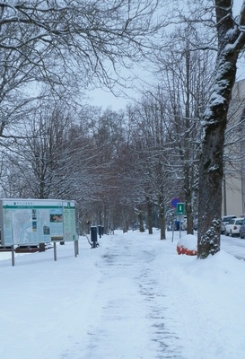 fotonegatiiv, Viljandi, Tasuja puiestee rephoto
