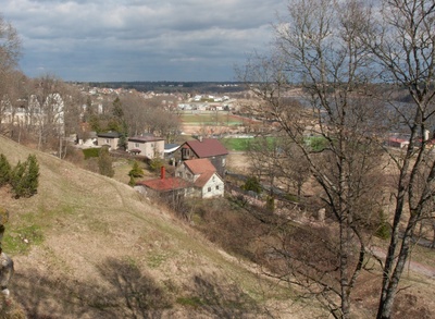 fotonegatiiv, Viljandi, vaade Kivistiku linnaosale, heinamaale lossimägedest, ees Pikk tn majad, 1896 foto J. Riet rephoto