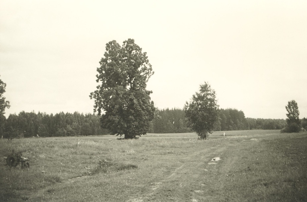 In front of Pärn Päevakeste farm, K. Rumor-Asti's home
