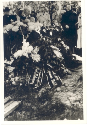 Ed. Hubel's hair. August 1957  duplicate photo