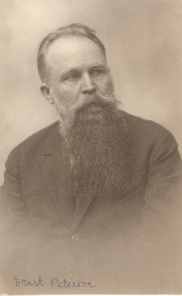 Ernst Peterson-Särgava 1929