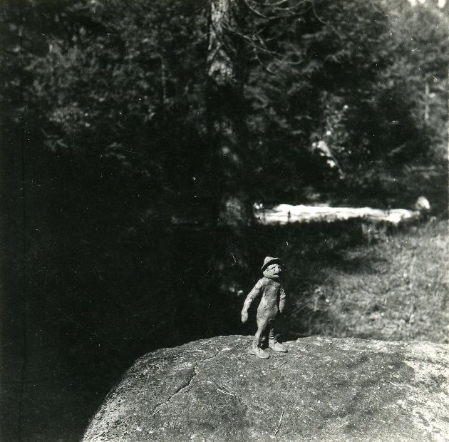 Valgemetsa 9. VIII 1952