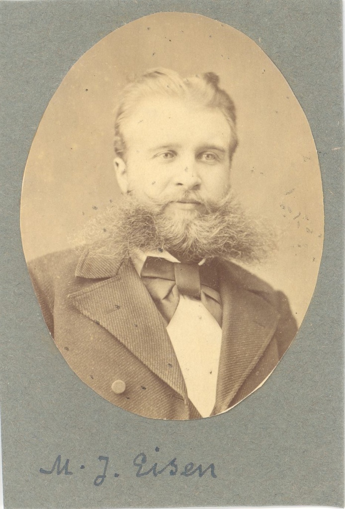 Eisen, Matthias Johann, Professor