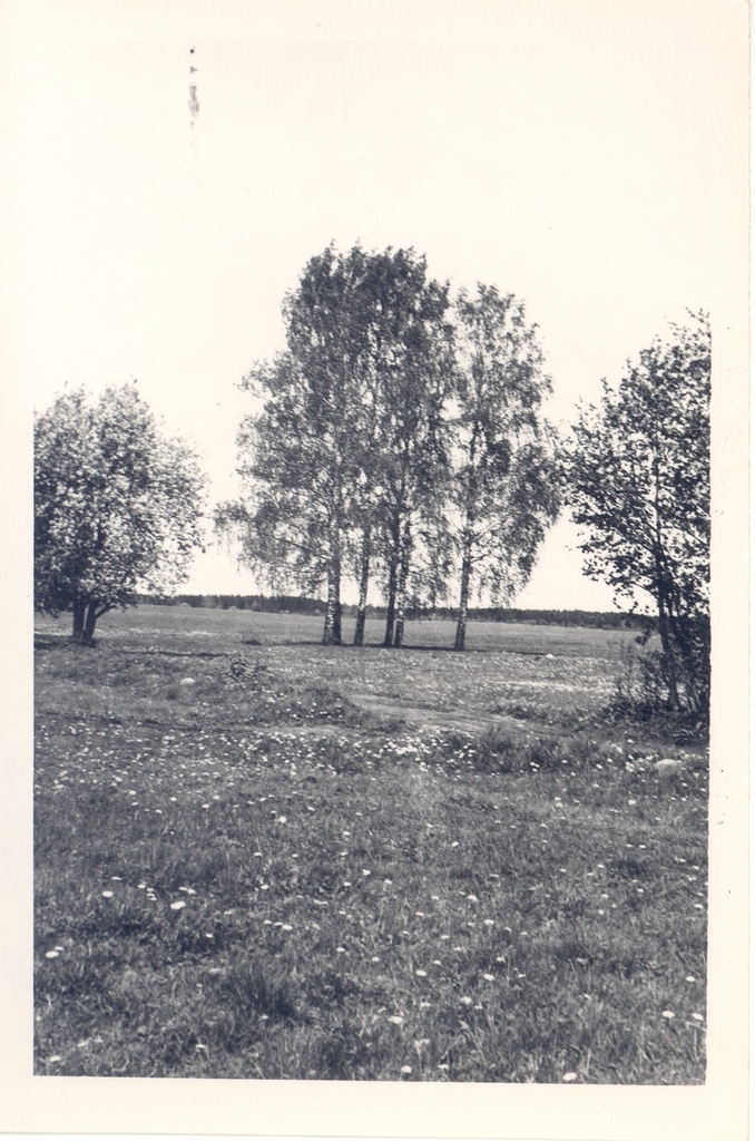 [Born Height,Ed. (Brunberg, Ed.] Prunni farm itself. Location Paide raj. Valasti village. The farm was located between two cassettes, which Jaan Brunberg planted.