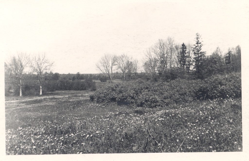 O. Münther's birthplace, ahervare of the former Möldr's house - Järva-Jaani, Kuksema