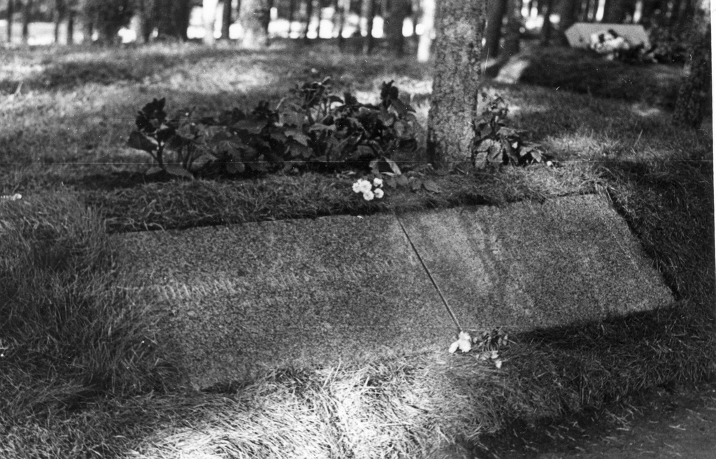 The graves of Johannes Vares-Barbarus e and Emilie Varese at the Tallinn Forest Hallmist in 1974.