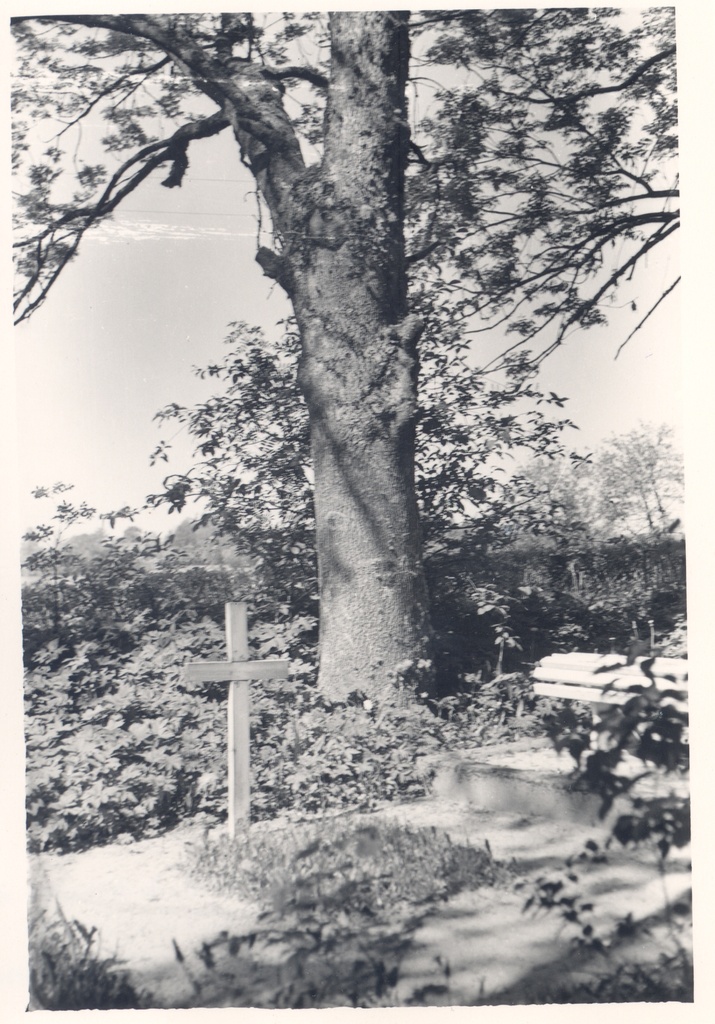 R. Kamsen's grave at Pülistvere cemetery