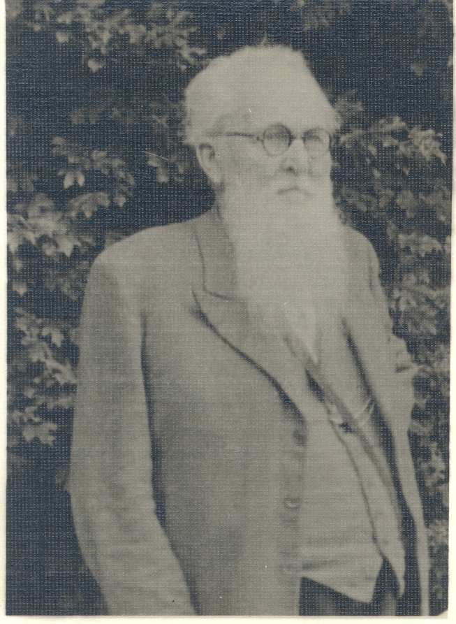 E. Peterson-Särgava