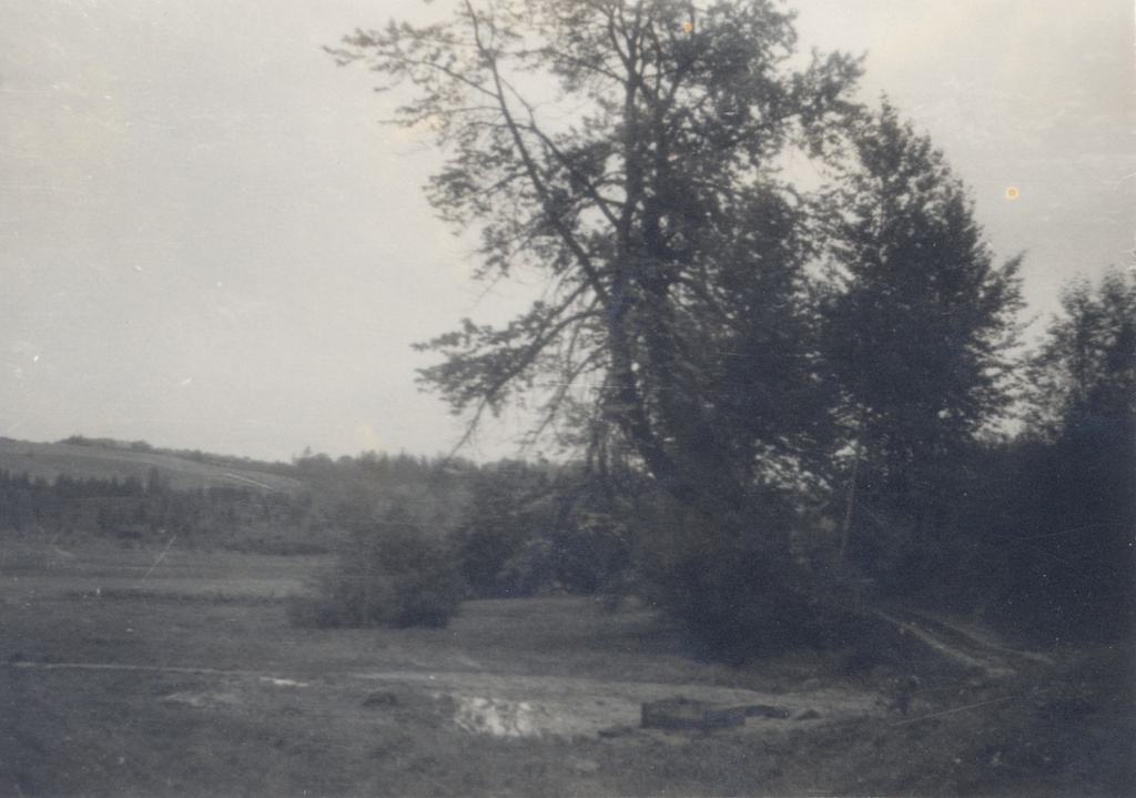 J. Places related to Tamme: Kave Late