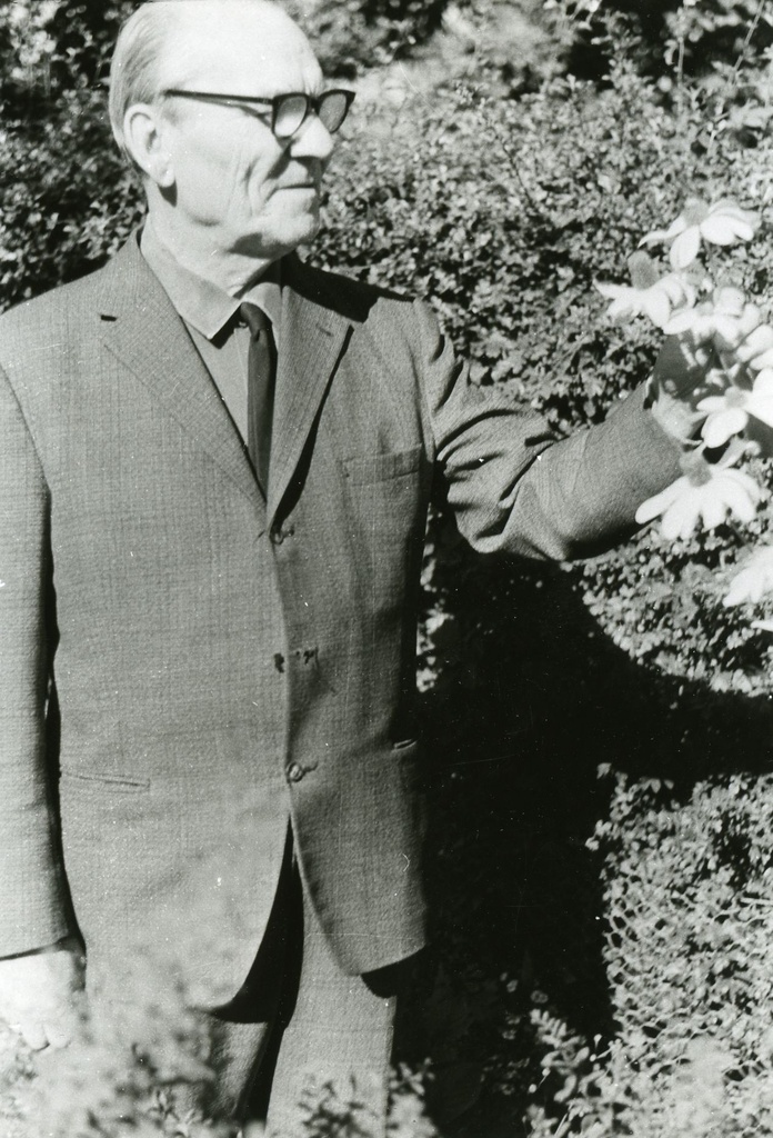 Albert Kivikas [1972]