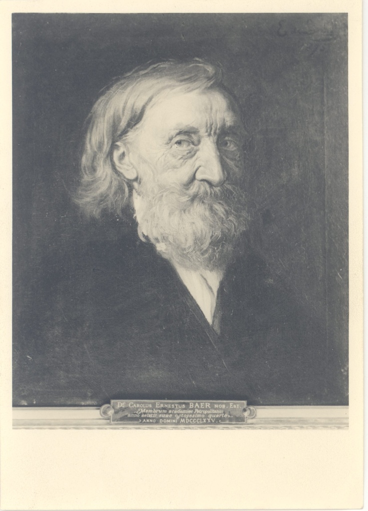 Baer, Carl Ernst v. e.V Liphardt painting in 1875