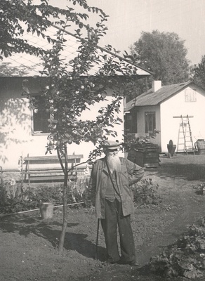 Ernst Peterson-Särgava in his garden at the apple tree 19. IX 1954  duplicate photo