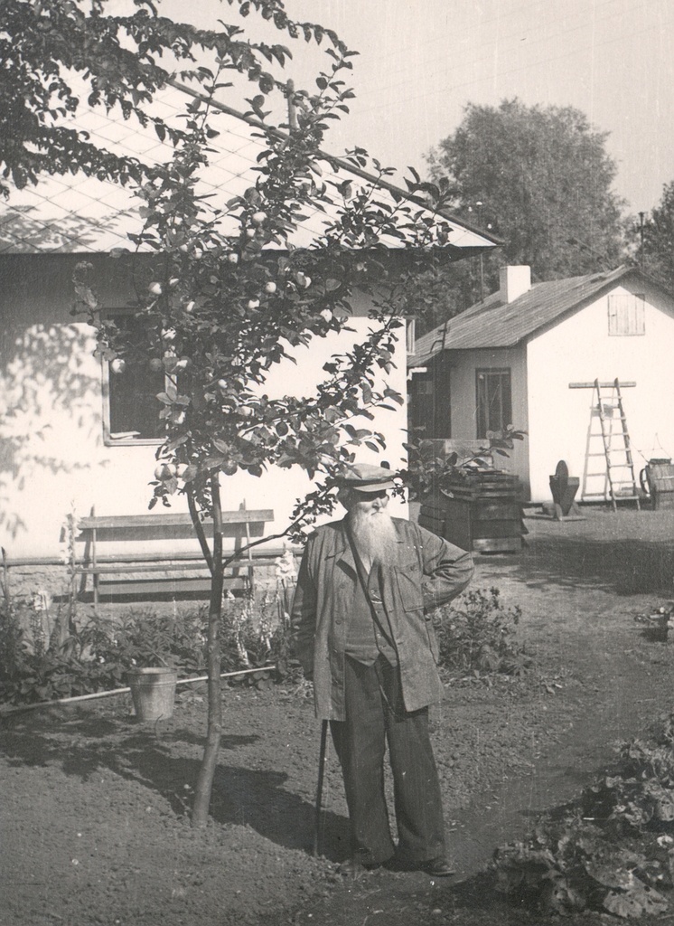 Ernst Peterson-Särgava in his garden at the apple tree 19. IX 1954