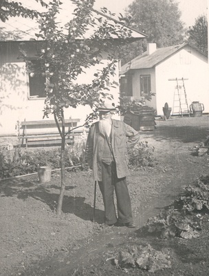 Ernst Peterson-Särgava in his garden at the apple tree 19. IX 1954  similar photo