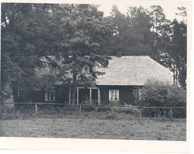 A. Kitzberg. Polli  duplicate photo