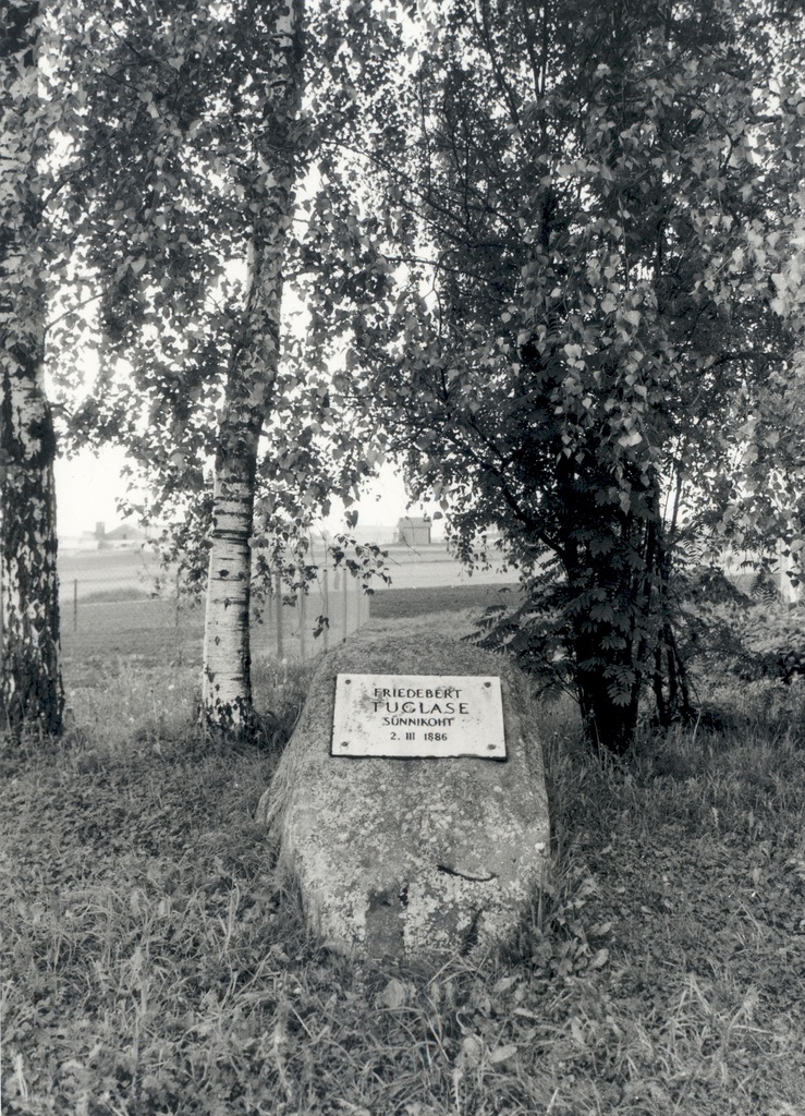 F. The stone marking the birthplace of Tuglas (2. III 1886- )