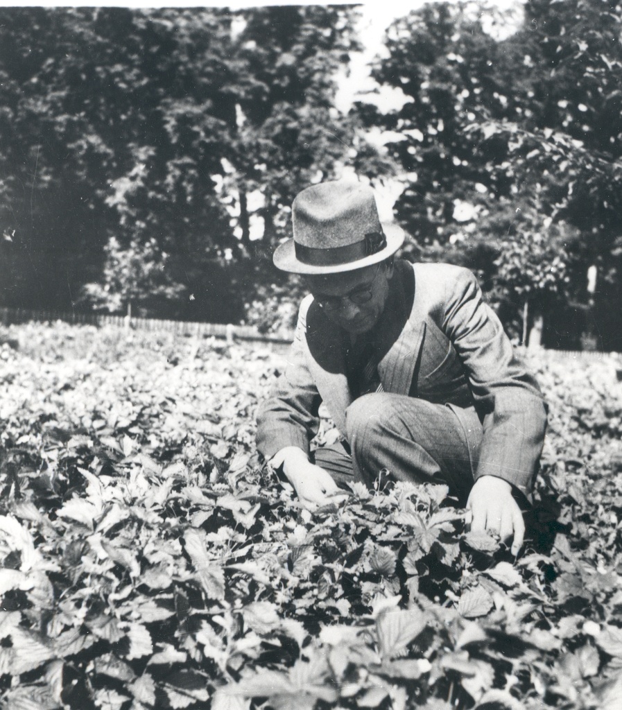 Friedebert in Tugla, Ahjal, July 1938
