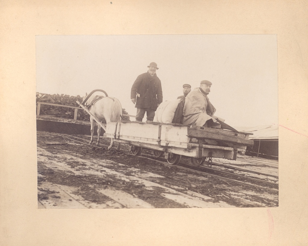 People are transported on the Peipsi coast by horse rail at the beginning of the century. Riding K. e. Sööt