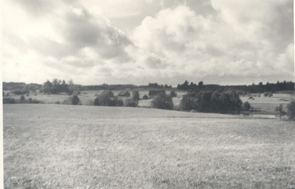 Wound, Anna from the birthplace. Kodavere, Hawkstone.