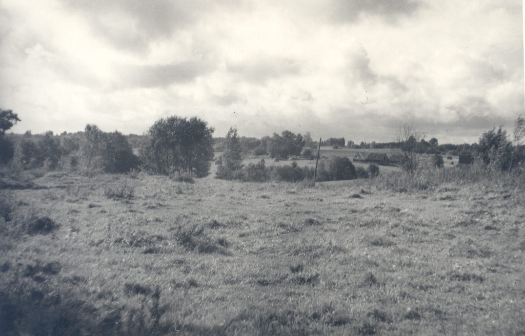 Wound, Anna from the birthplace. Kodavere, Hawkstone.