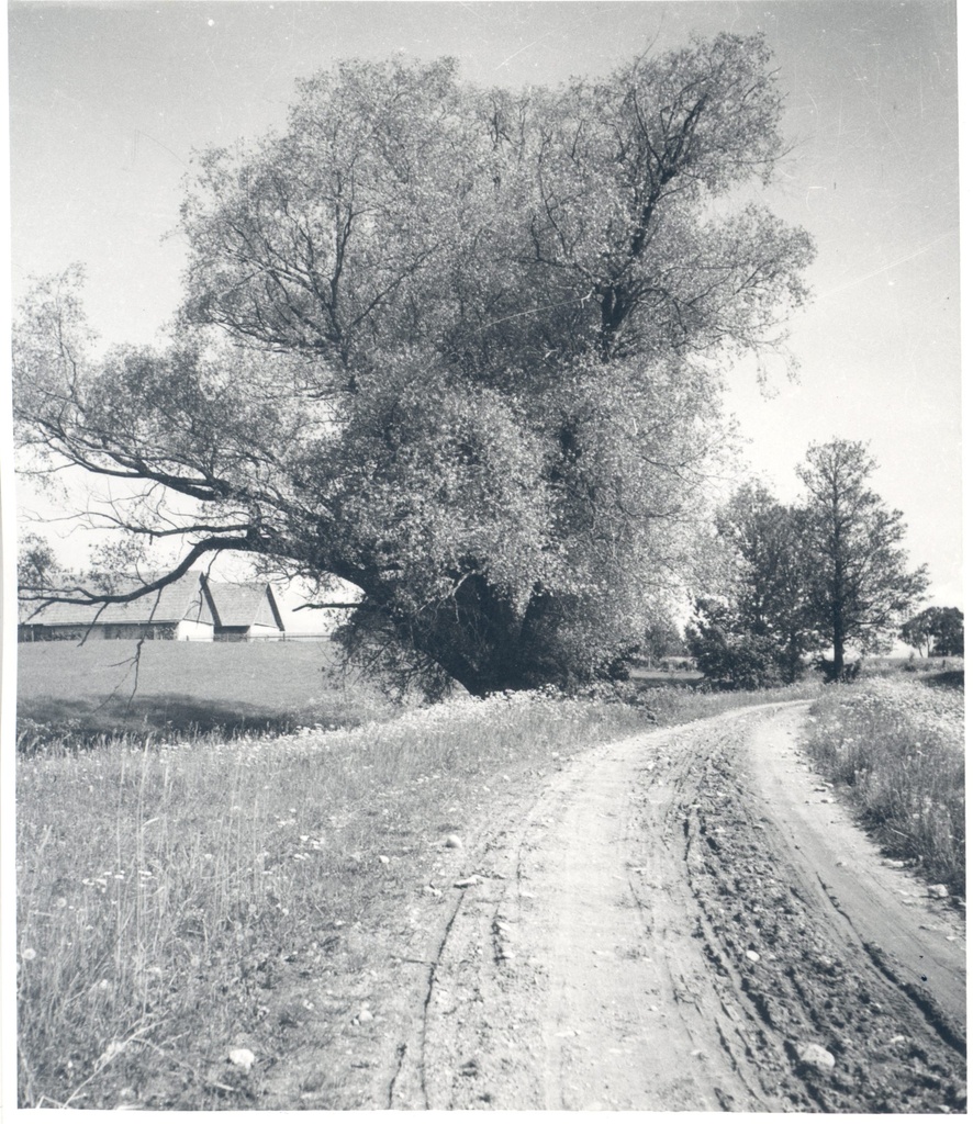 Hindrey, Karl August. Kolga farm