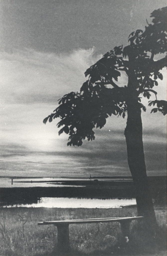 Haapsalu White Night Night at the Beach where the poet Ernst Enno loved to walk