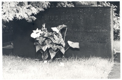 The funeral site of Julius Krohn's family, which has also been buried in Aino Kallas  duplicate photo