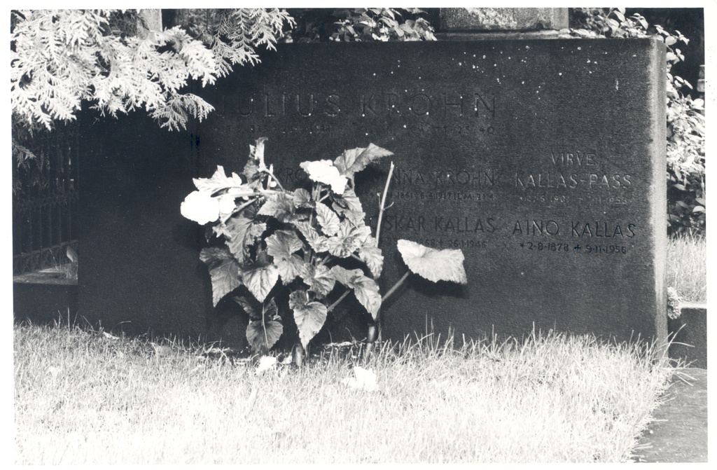 The funeral site of Julius Krohn's family, which has also been buried in Aino Kallas