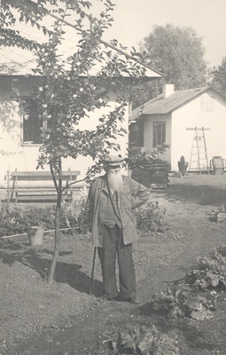 Ernst Peterson-Särgava in his garden in 1954.  duplicate photo