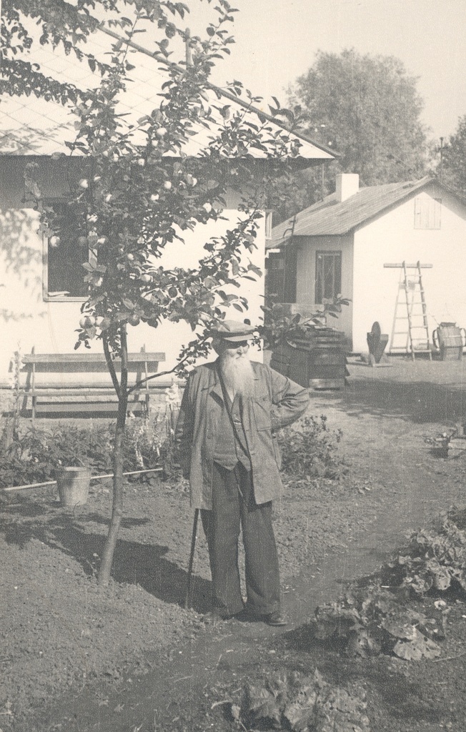 Ernst Peterson-Särgava in his garden in 1954.