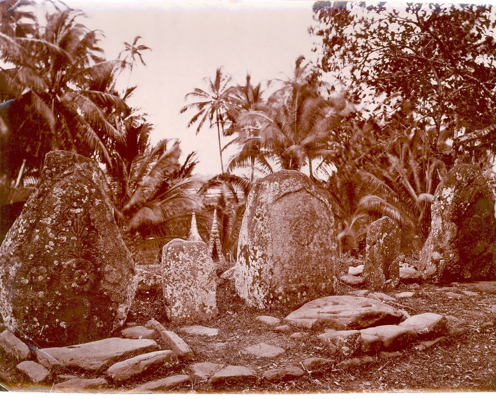 From the island of Jaava