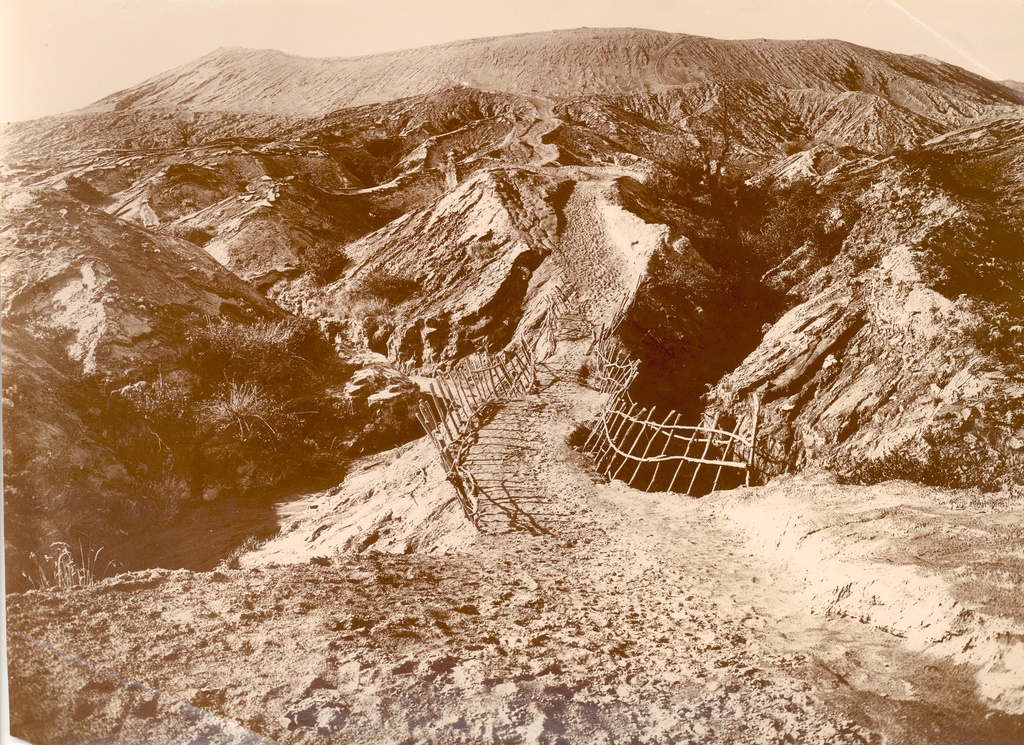 From the island of Jaava