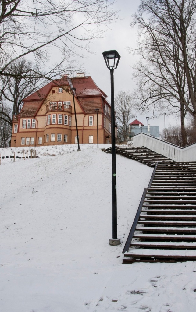 foto, Viljandi, Trepimägi 1958 F H.Riet rephoto