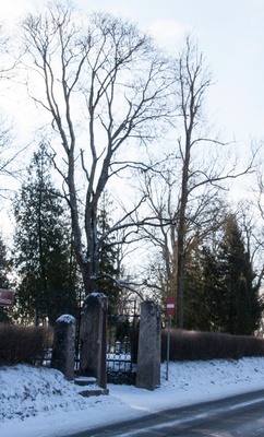 foto, Viljandi, Vana kalmistu (talvel), värav, u 1920, foto J. Riet rephoto