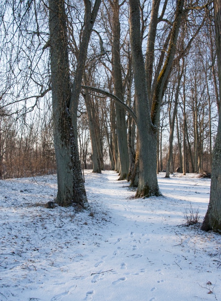 foto, Viljandi, Filosoofia pst u 1910 F J.Riet rephoto