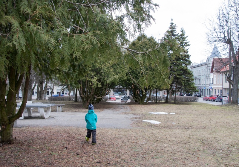 View of Viljandi Cook City. rephoto