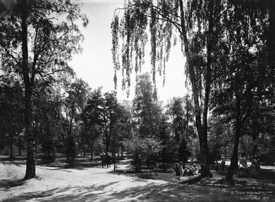 Kaisaniemi.  duplicate photo