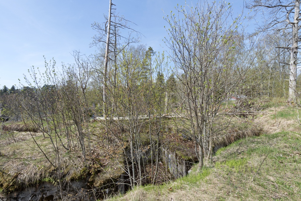 Haukilahti