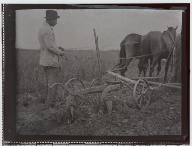 Põllu kündmine adraga kolmehobuserakendil