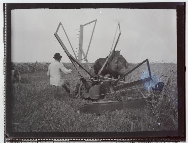 Teravilja koristamine hobu-viljalõikusmasinaga