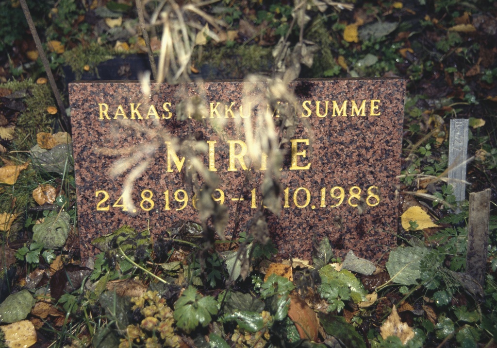 Syksyinen Eläinten hautausmaa