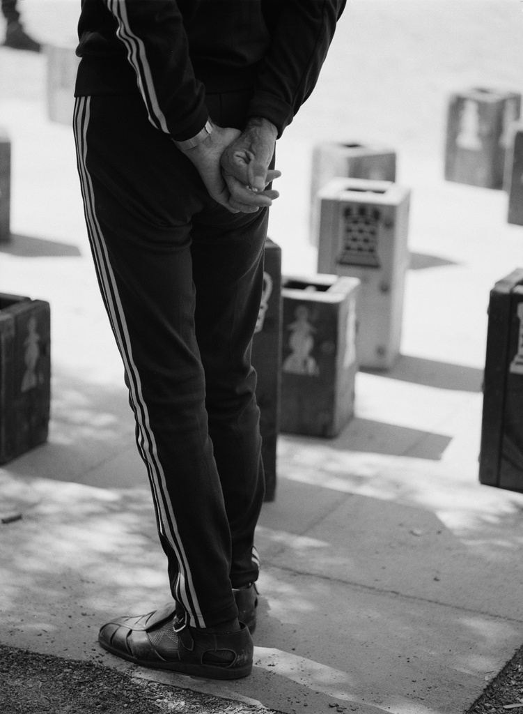 Puistoshakin pelaaja Hesperian puistossa.